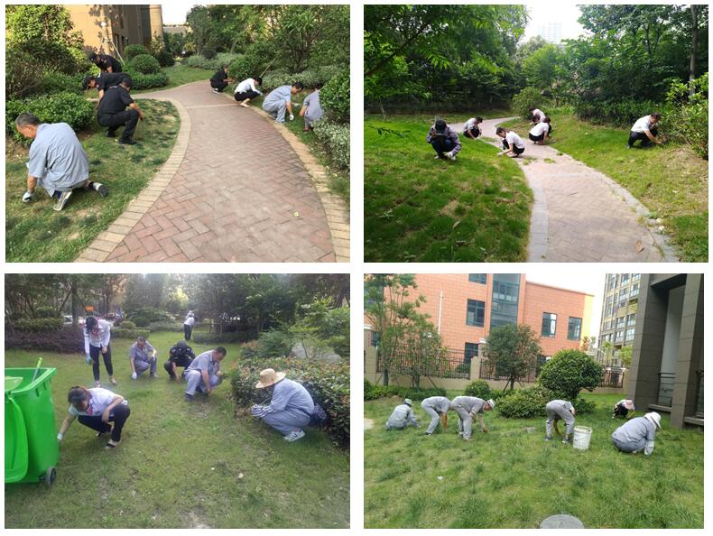 天誉国际·(中国)官方网站