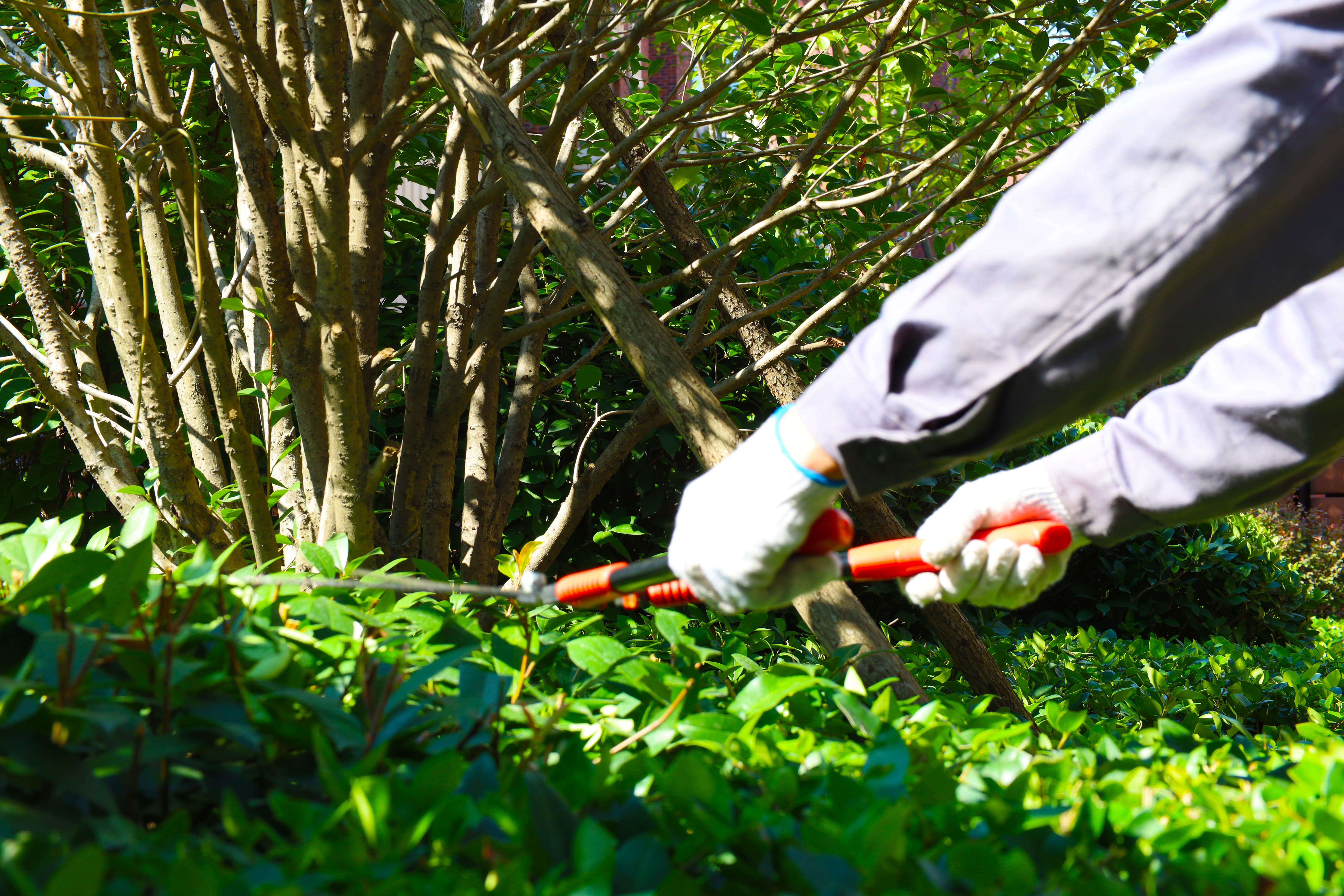 天誉国际·(中国)官方网站