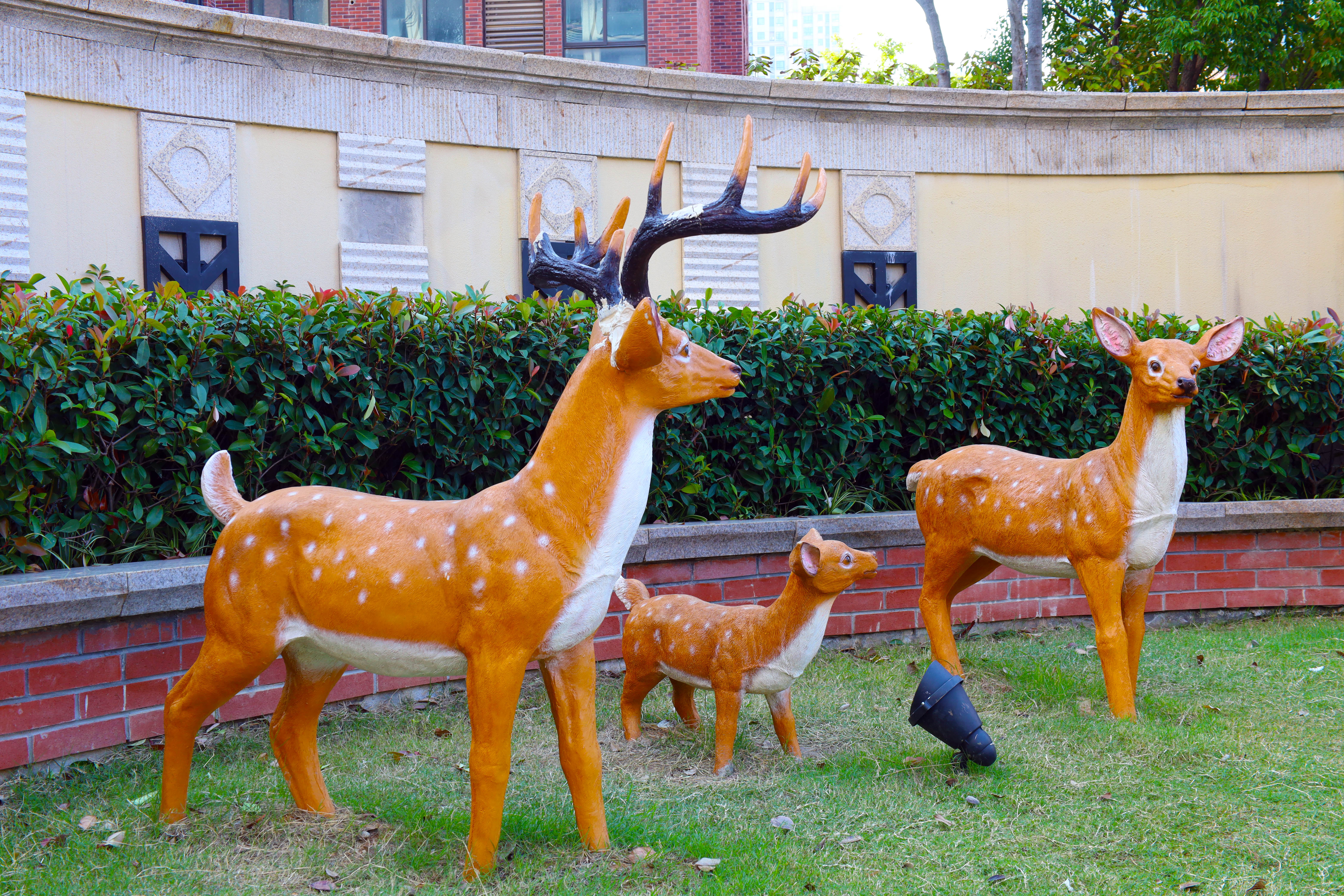 天誉国际·(中国)官方网站